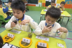 《探索不同茶葉沖泡後的茶色》