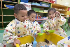 五感活動《彩色米》